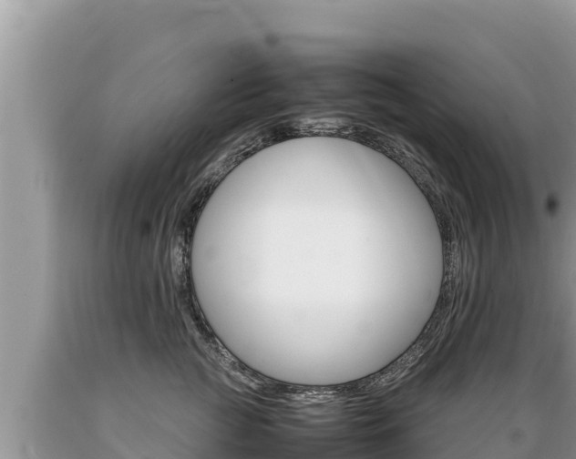 X0000089350761200706221138