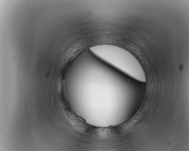 X0000089350762200706221138