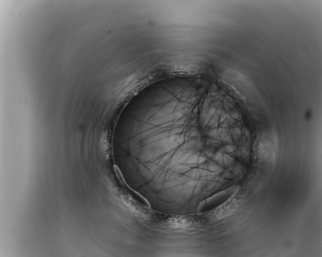 X0000089350764200706221138