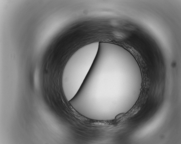 X0000089350765200706221138