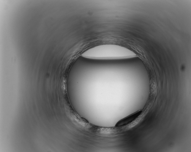 X0000089350766200706221138