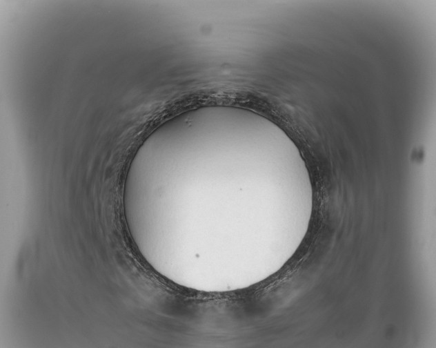 X0000089350769200706221138