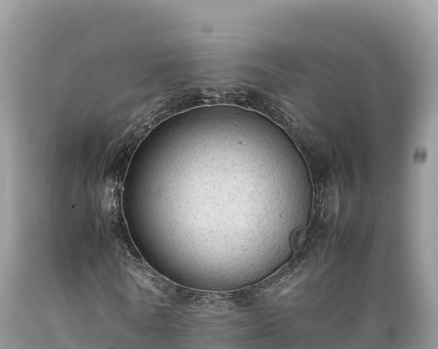 X0000089350770200706221138