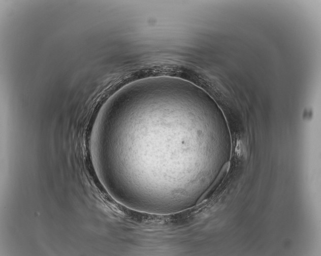 X0000089350771200706221138