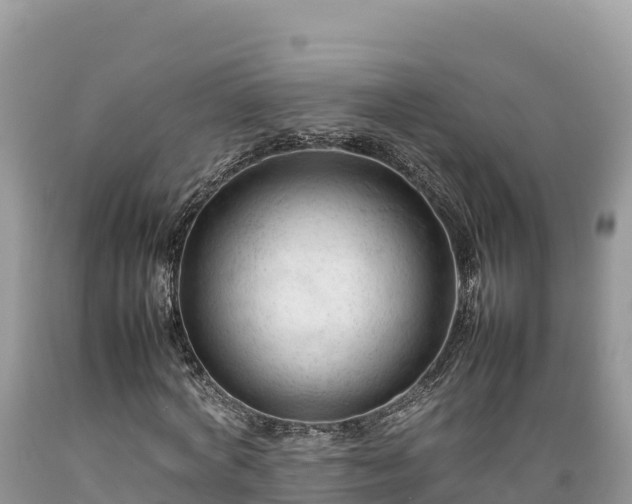 X0000089350772200706221138