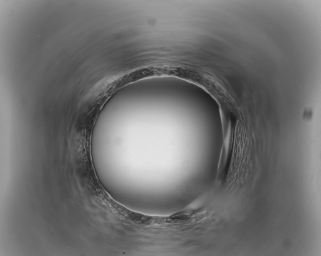 X0000089350773200706221138