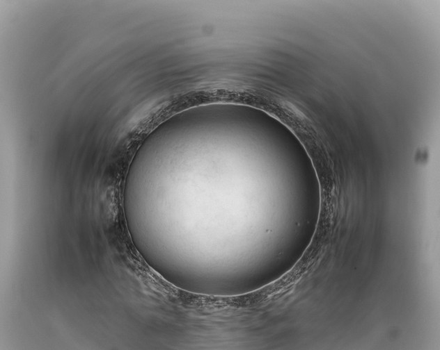X0000089350774200706221138