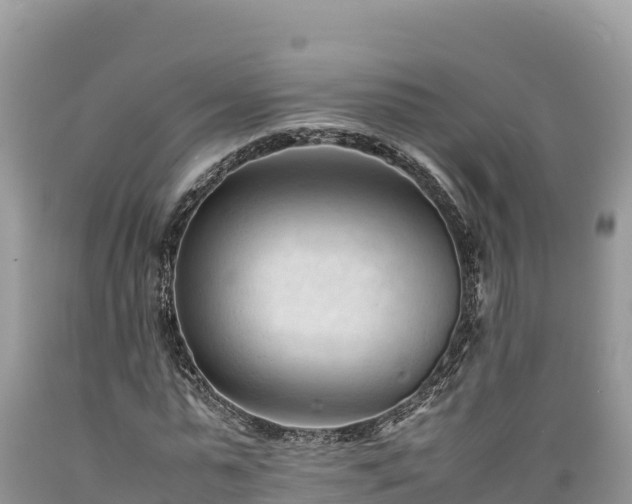 X0000089350775200706221138