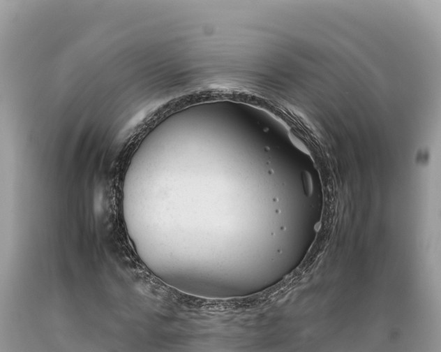 X0000089350776200706221137