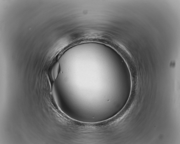 X0000089350777200706221137