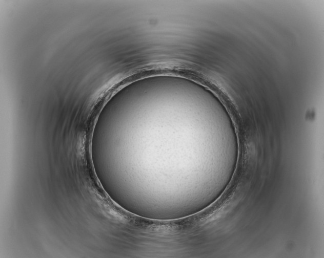 X0000089350778200706221137