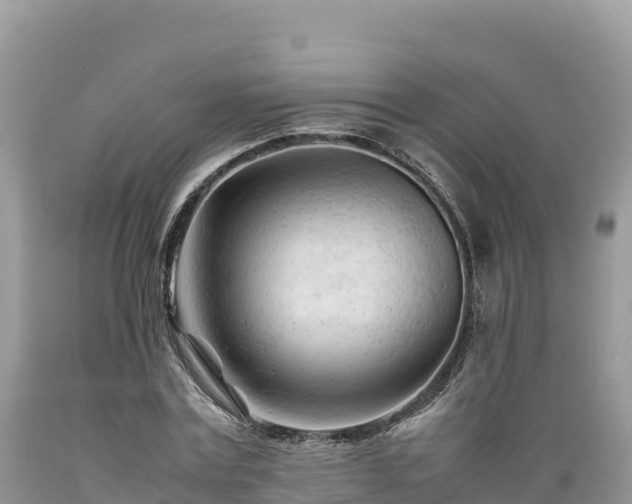 X0000089350779200706221137