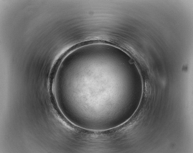X0000089350780200706221137