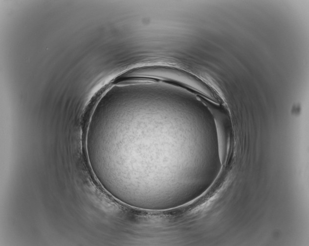X0000089350781200706221137