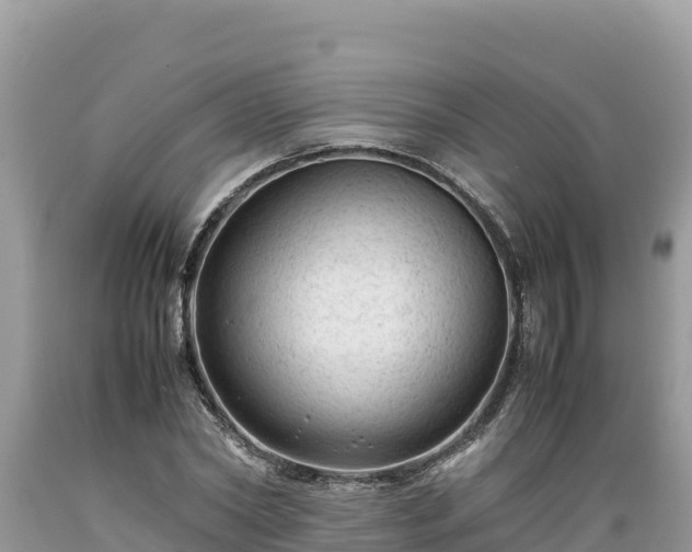 X0000089350782200706221137