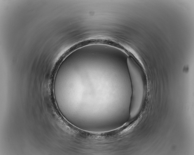 X0000089350783200706221137