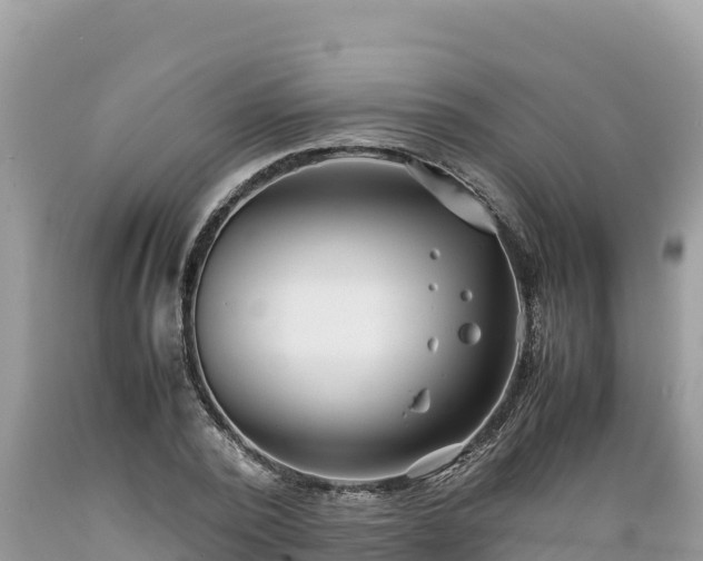 X0000089350784200706221137