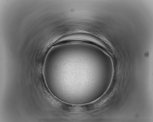 X0000089350785200706221137