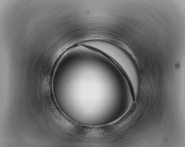 X0000089350786200706221137