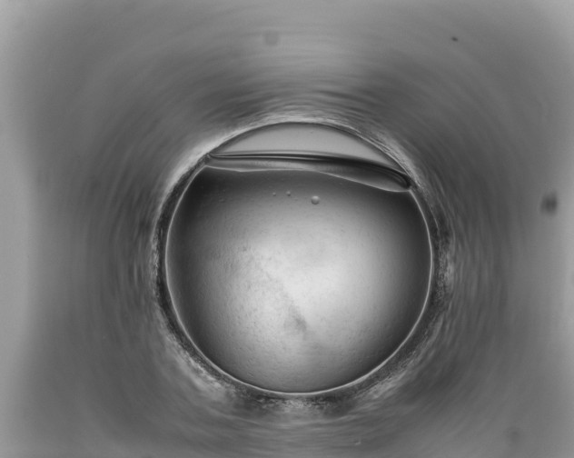 X0000089350787200706221137