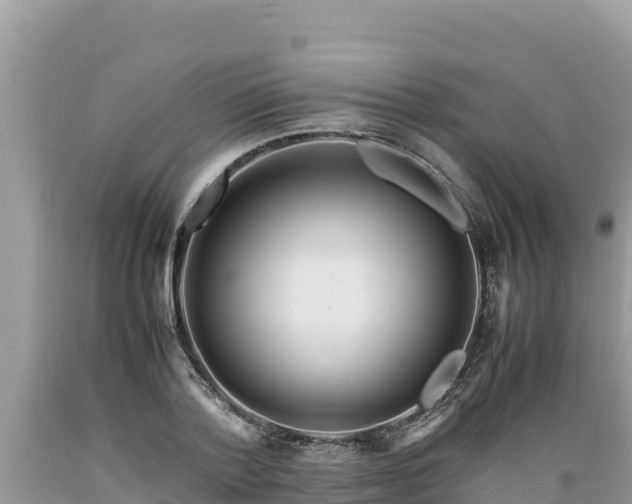 X0000089350788200706221137