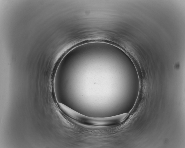 X0000089350789200706221137