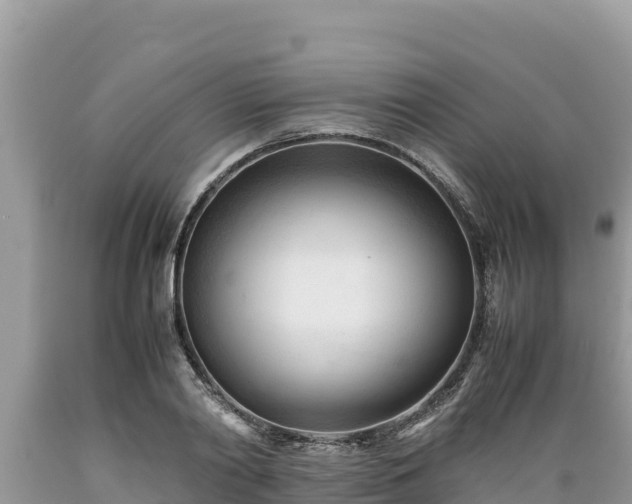 X0000089350790200706221137