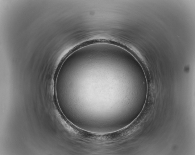 X0000089350791200706221137