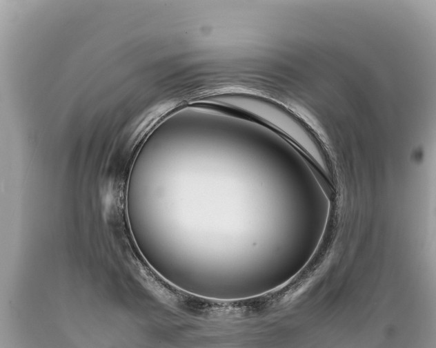 X0000089350793200706221137