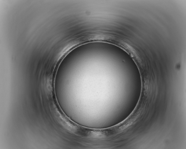 X0000089350794200706221137