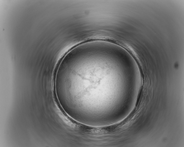 X0000089350795200706221137
