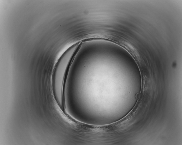 X0000089350796200706221137