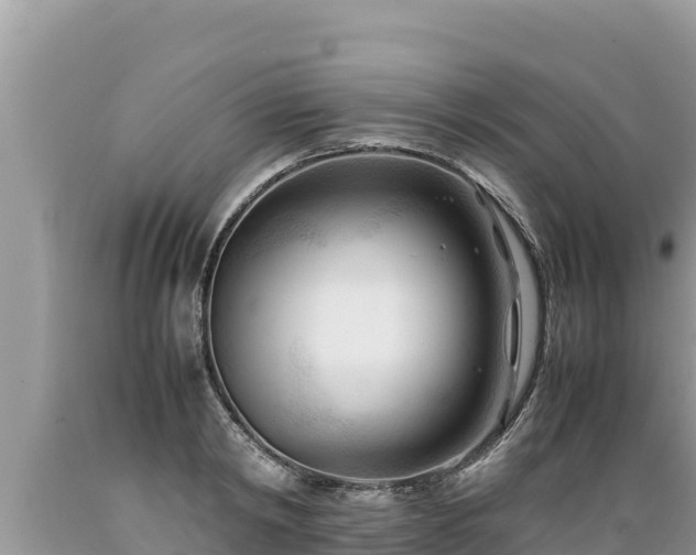 X0000089350798200706221137