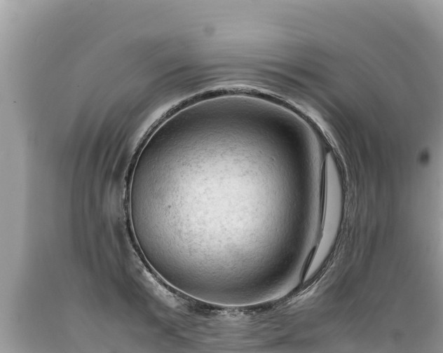 X0000089350799200706221137