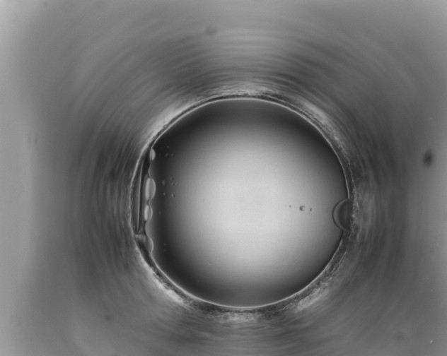 X0000089350802200706221137