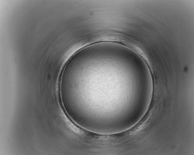 X0000089350803200706221137