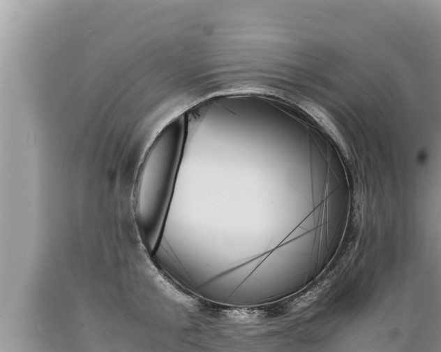 X0000089350805200706221137