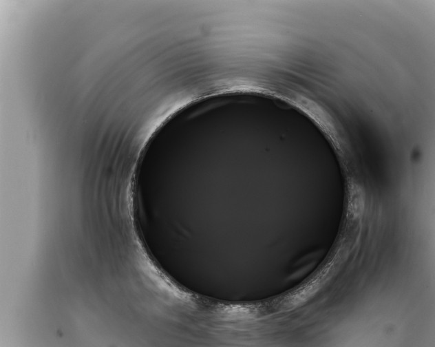 X0000089350806200706221137