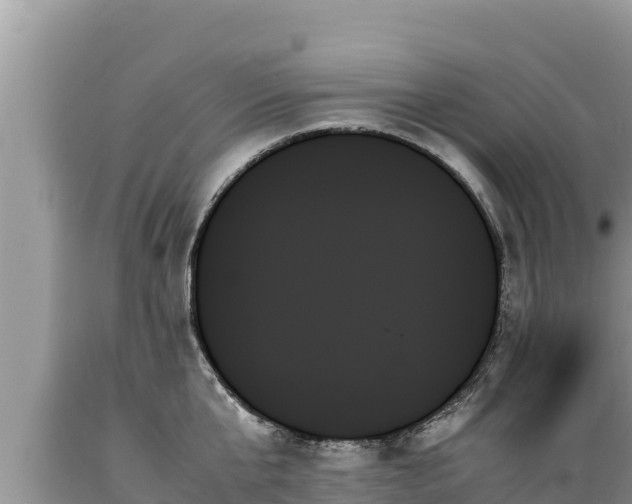 X0000089350807200706221137