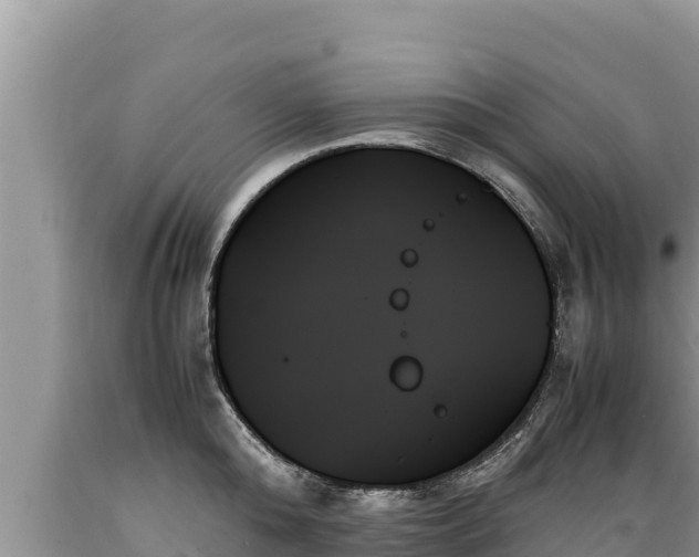 X0000089350808200706221137