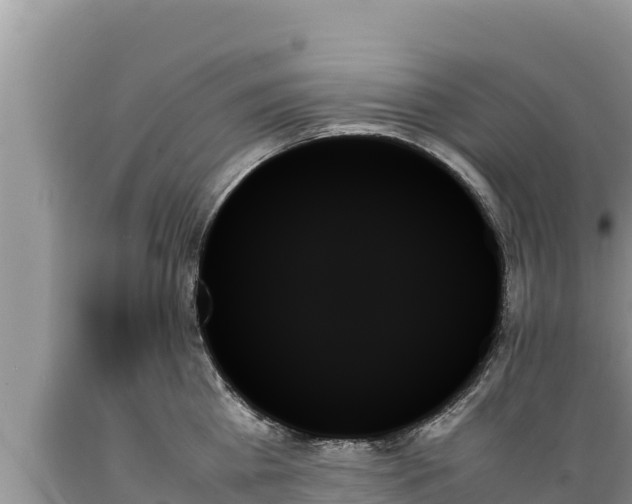 X0000089350809200706221137
