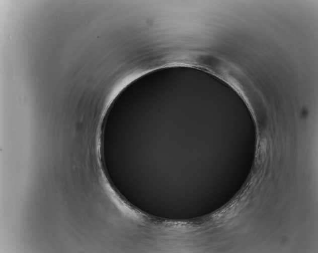 X0000089350811200706221137