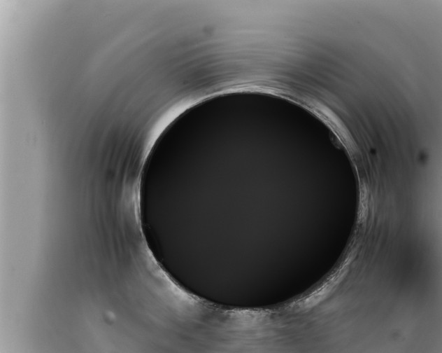 X0000089350812200706221137