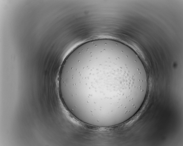 X0000089350814200706221137