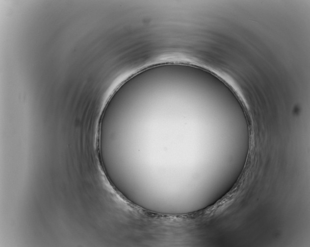 X0000089350815200706221137