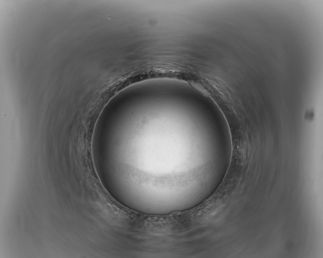 X0000089350817200706221136