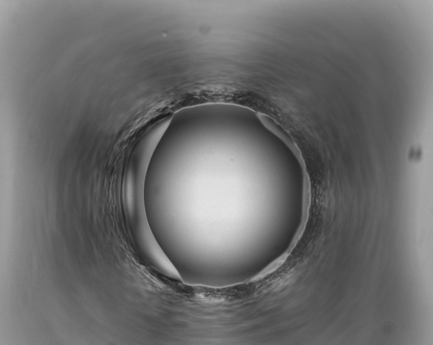 X0000089350818200706221136