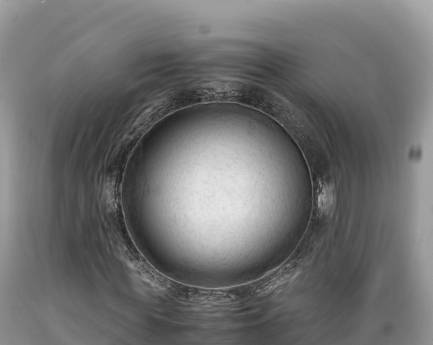 X0000089350819200706221136