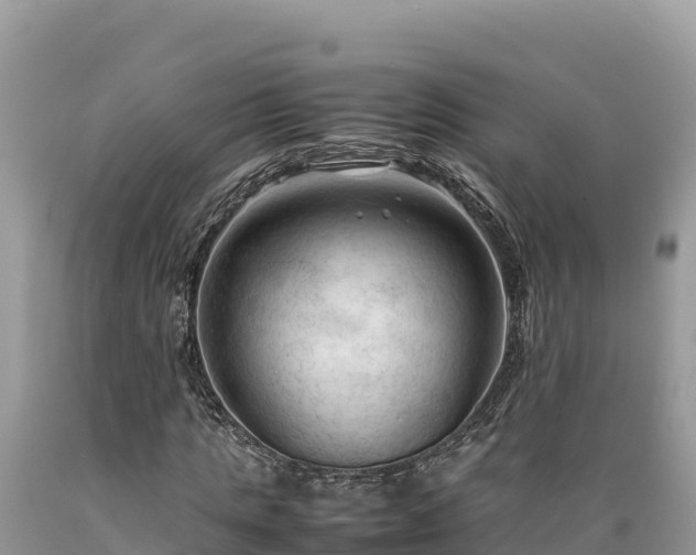 X0000089350821200706221136