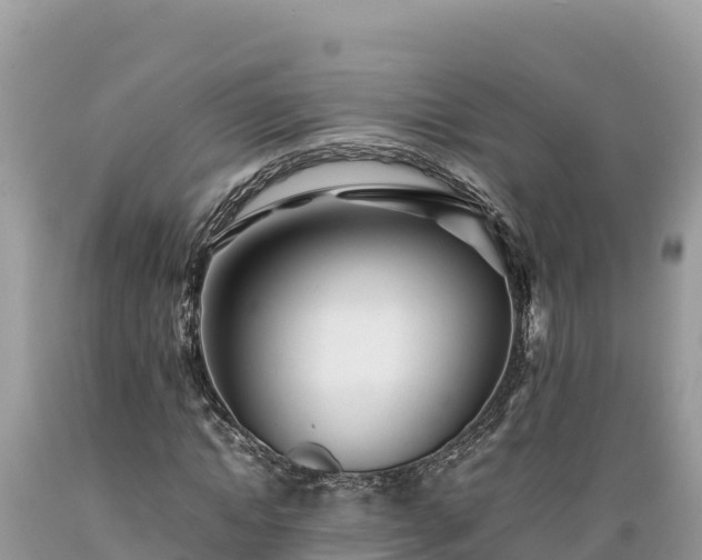 X0000089350822200706221136